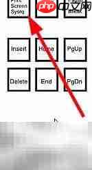 how old net上传保存图片教程  第4张