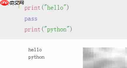 Python中pass语句的作用解析  第2张