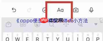 oppo便签如何调整字体大小  第3张