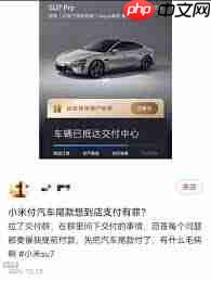 国外怎么买小米汽车