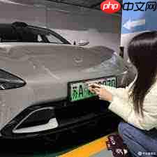 国外怎么买小米汽车  第2张