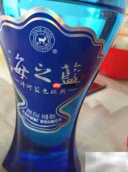 洋河海之蓝扫码领红包  第1张