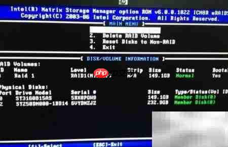 创建Intel RAID简易指南  第3张
