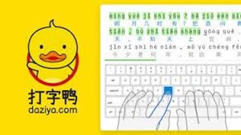 打字鸭网页版登录入口 打字鸭免下载在线使用  第1张