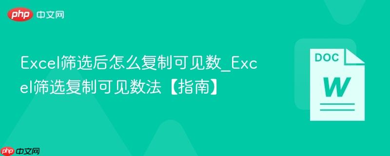 Excel筛选后怎么复制可见数_Excel筛选复制可见数法【指南】  第1张