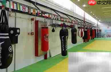 如何提升搏击俱乐部续卡率  第3张