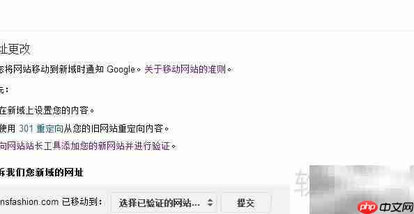 Google站长网址迁移工具使用指南  第2张