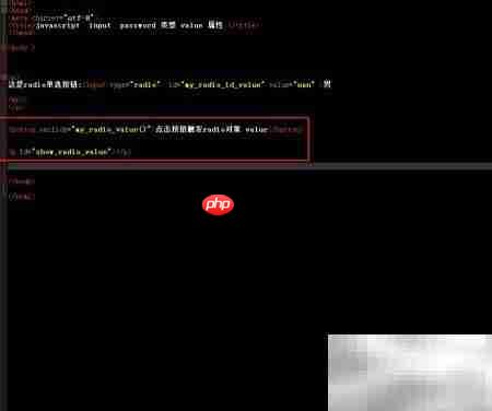 radio对象value属性用法解析  第3张