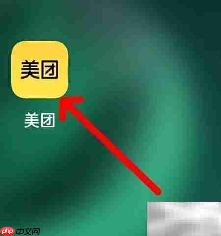 美团如何查看电影演出