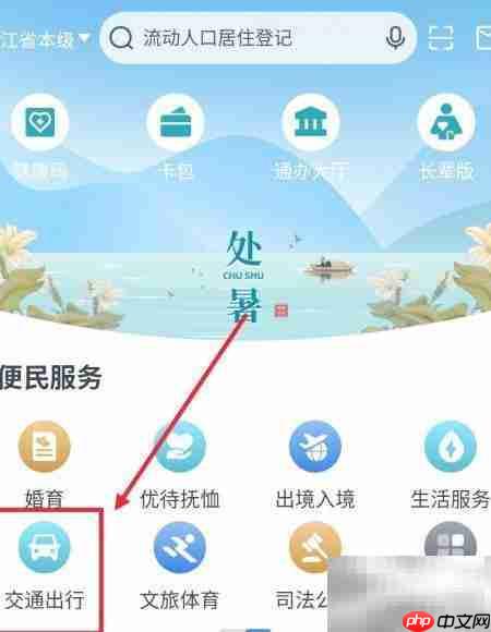 浙里办办理运输资格指南  第2张