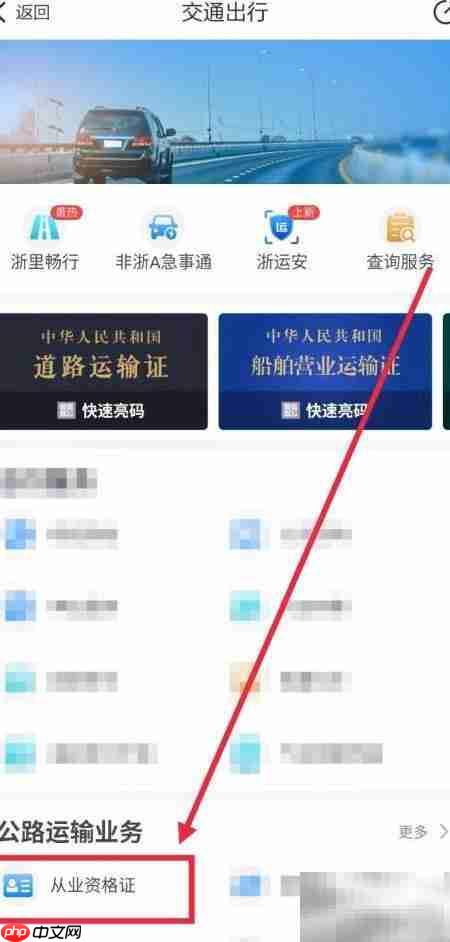 浙里办办理运输资格指南  第3张