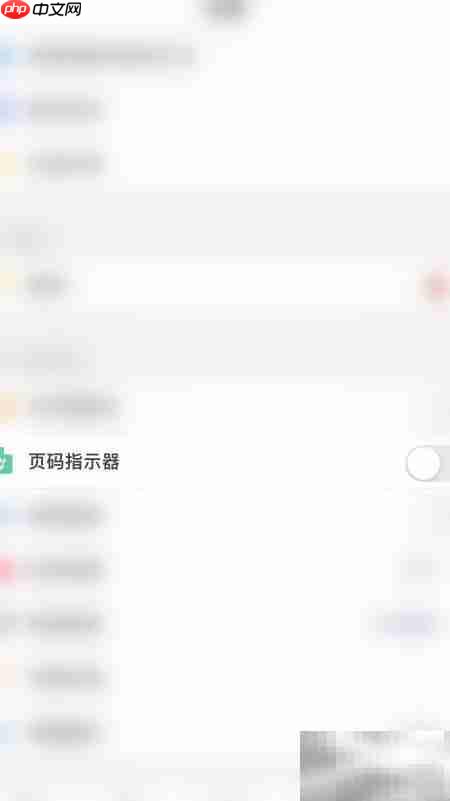 启用PDF Pro页码指示器  第2张