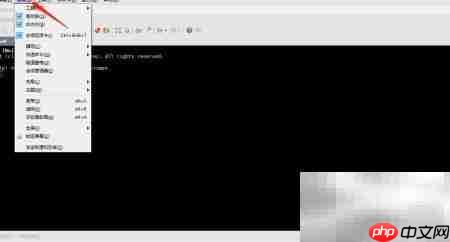 Xshell6.0设置Gray Classic主题  第3张