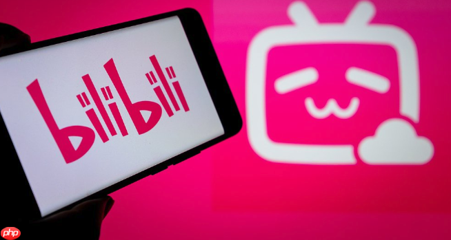 哔哩哔哩免登录入口-哔哩哔哩免费进入在线观看视频  第1张