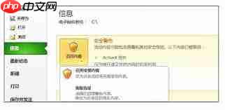 如何启用activex控件  第3张