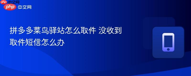 拼多多菜鸟驿站怎么取件 没收到取件短信怎么办  第1张