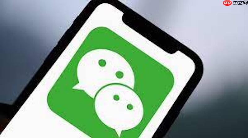 微信账单详情怎么查询 搜索特定交易记录操作步骤  第1张