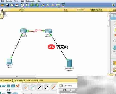 Packet Tracer配置NAPT指南
