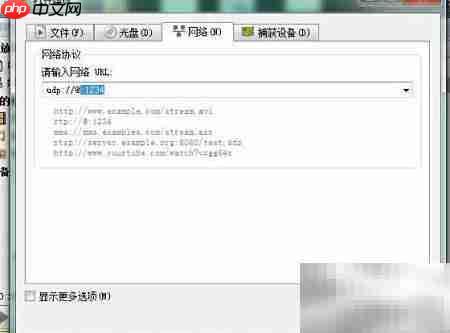 流媒体服务器搭建指南  第11张
