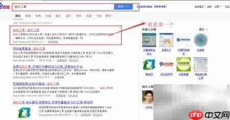 站长工具使用与数据解析