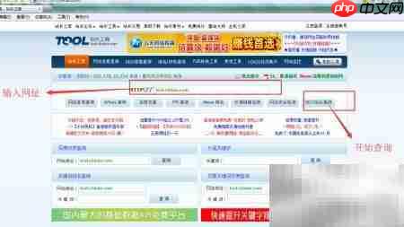 站长工具使用与数据解析  第2张