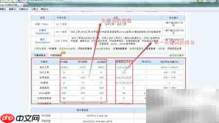 站长工具使用与数据解析  第9张