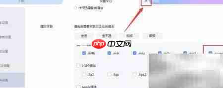 迅雷播放.mpeg4文件设置方法  第6张
