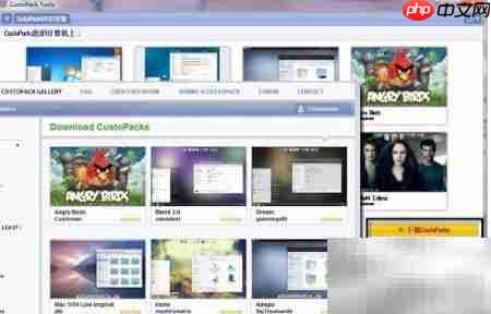 系统美化技巧全攻略  第3张