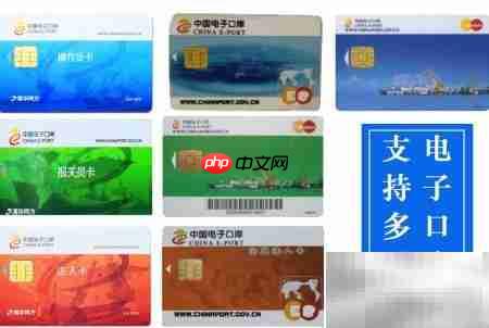 电子口岸一键修复指南  第2张