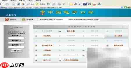 电子口岸一键修复指南  第9张