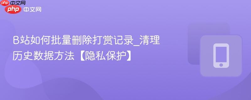 B站如何批量删除打赏记录_清理历史数据方法【隐私保护】  第1张
