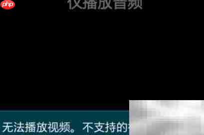 手机如何播放WMV格式视频