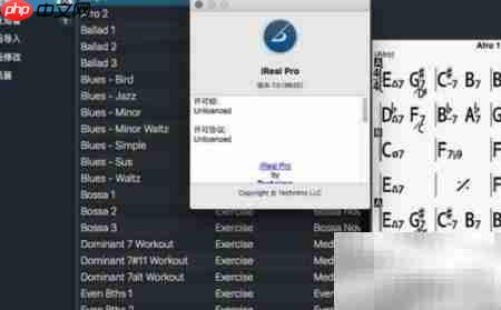 RealGuitar3无声音解决方法  第2张