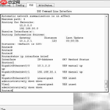 思科RIP配置实验  第2张
