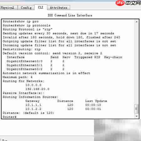 思科RIP配置实验  第7张