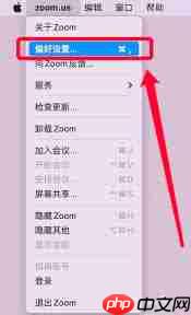 如何开启Zoom自动调整音量  第2张