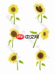 cdr如何绘制向日葵花朵矢量图  第2张