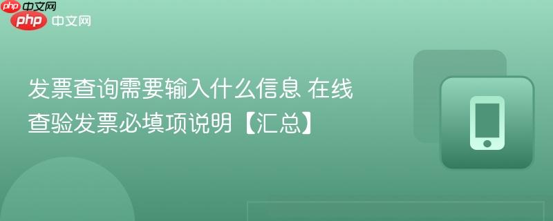 发票查询需要输入什么信息 在线查验发票必填项说明【汇总】  第1张