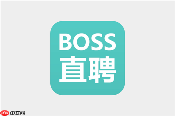 BOSS直聘网页版 BOSS直聘官网直接登录地址  第1张