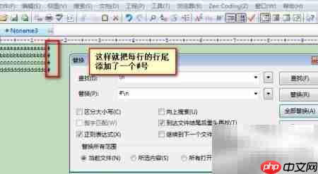 EditPlus替换技巧速览  第6张