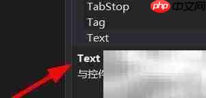 ElementHost文本属性设置技巧  第3张