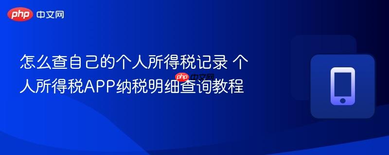 怎么查自己的个人所得税记录 个人所得税APP纳税明细查询教程  第1张