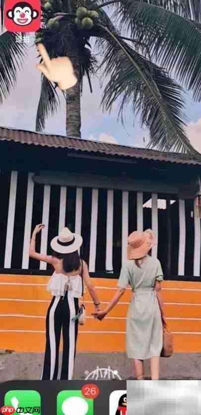 抖音海鸥特效制作教程  第1张