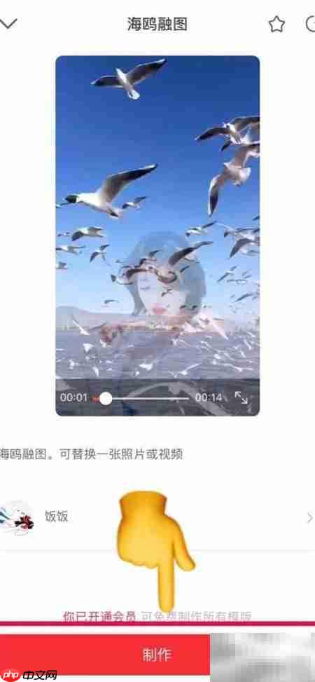 抖音海鸥特效制作教程  第4张