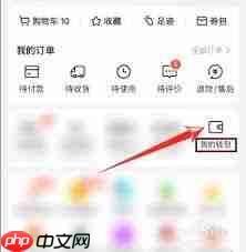 如何查看美团消费总额  第2张