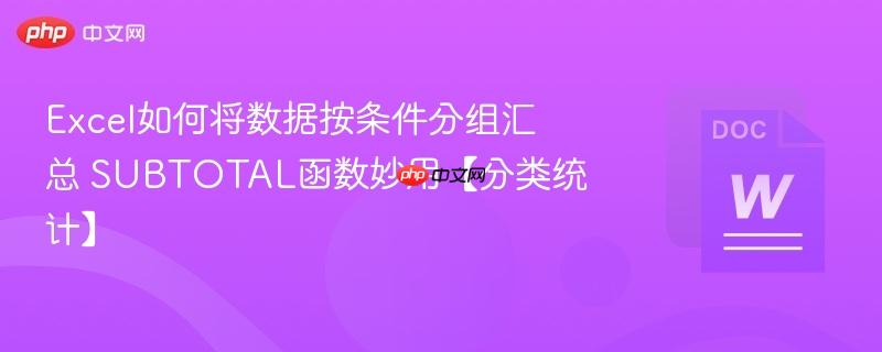 Excel如何将数据按条件分组汇总 SUBTOTAL函数妙用【分类统计】  第1张