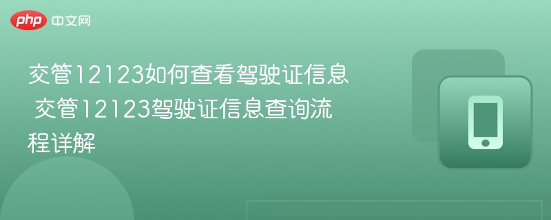 交管12123如何查看驾驶证信息 交管12123驾驶证信息查询流程详解  第1张