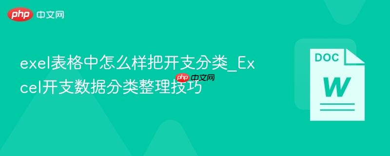 exel表格中怎么样把开支分类_Excel开支数据分类整理技巧  第1张