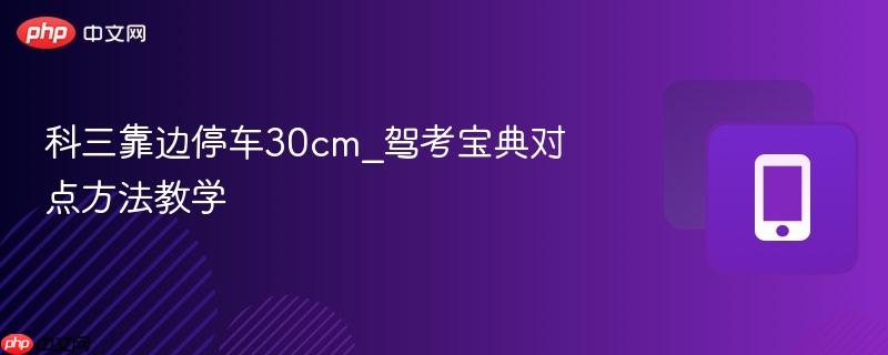 科三靠边停车30cm_驾考宝典对点方法教学  第1张