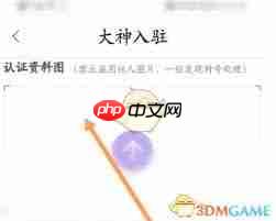 带带陪玩如何申请大神